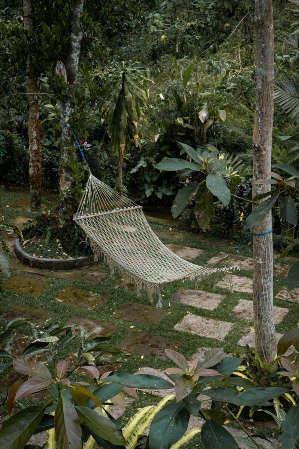 Kebun Kita Eco Lodge Padangan  Exterior foto