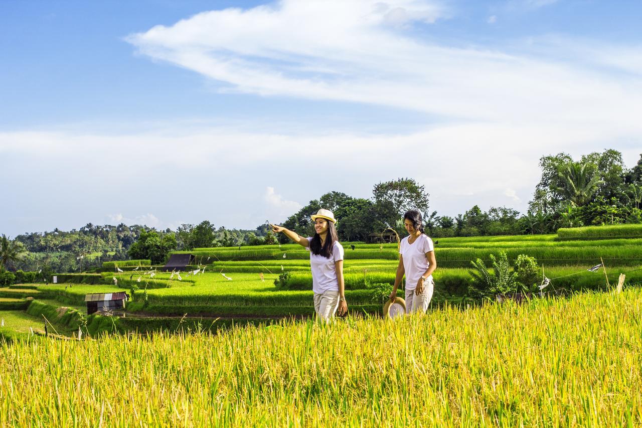 Kebun Kita Eco Lodge Padangan  Exterior foto